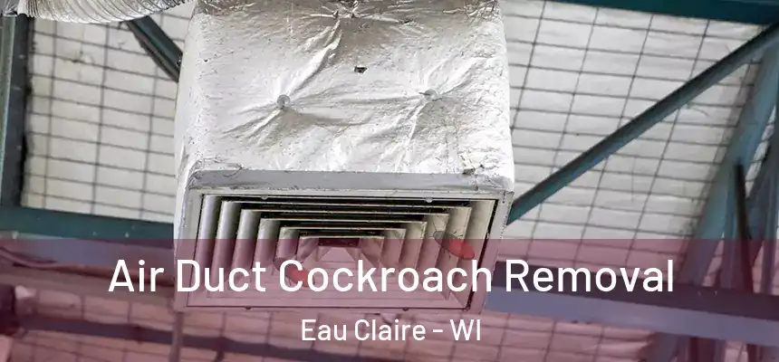 Air Duct Cockroach Removal Eau Claire - WI