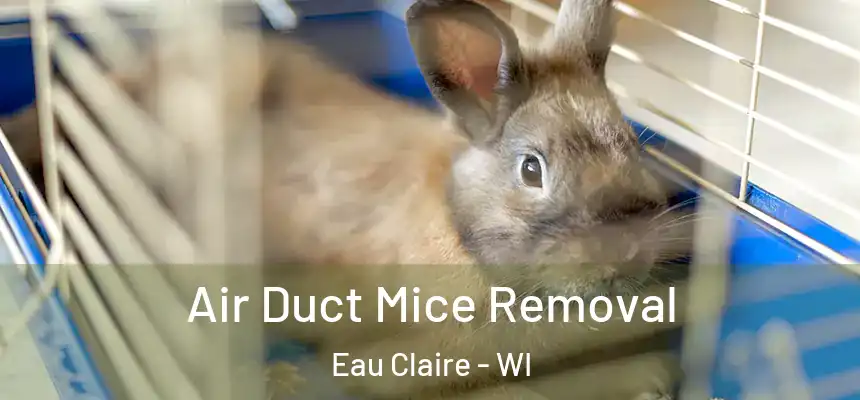  Air Duct Mice Removal Eau Claire - WI