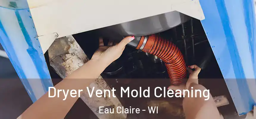 Dryer Vent Mold Cleaning Eau Claire - WI