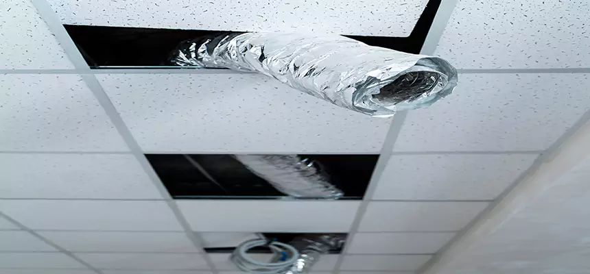 Our Air Duct Pet Hair Removal Services in Eau Claire, WI