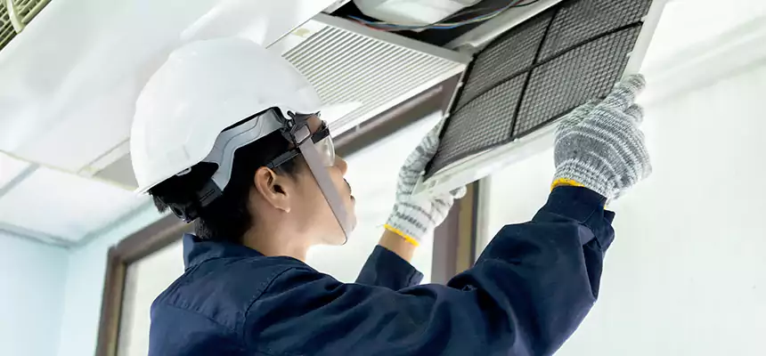 Our Mold & Mildew Removal from Air Ducts Services in Eau Claire, WI