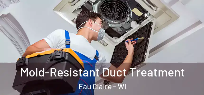  Mold-Resistant Duct Treatment Eau Claire - WI