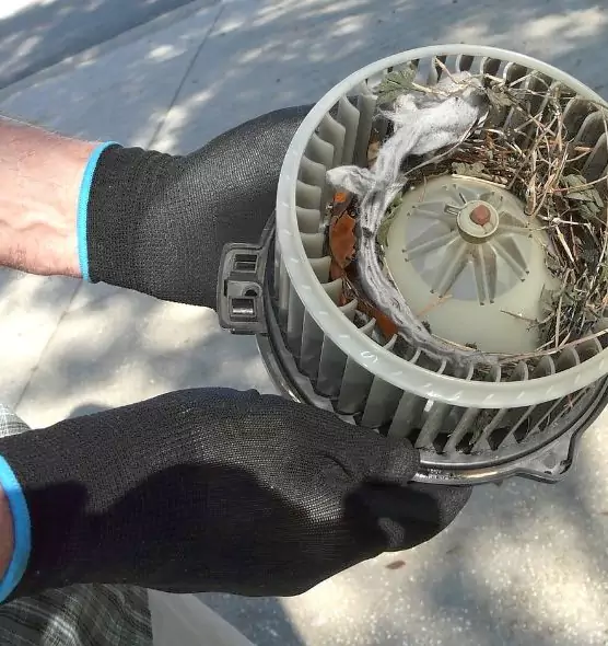 About Air Duct Rat Removal in Eau Claire, WI