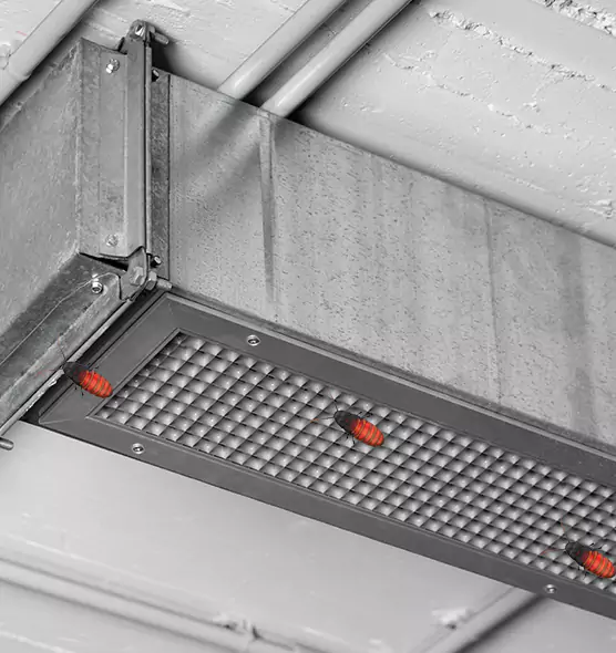 Affordable Insect Removal from Air Ducts in Eau Claire, WI